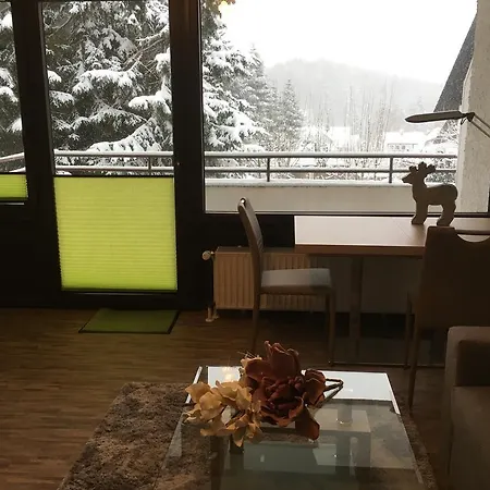 Ferienwohnung Harzmond Braunlage Exterior photo
