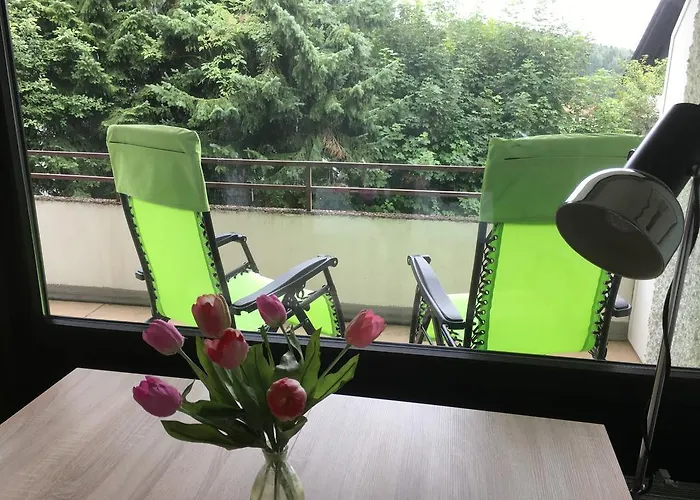 Ferienwohnung Harzmond